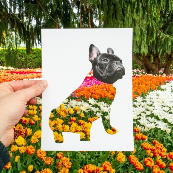 Meet your Posher, Kari - Picture 3 of 4